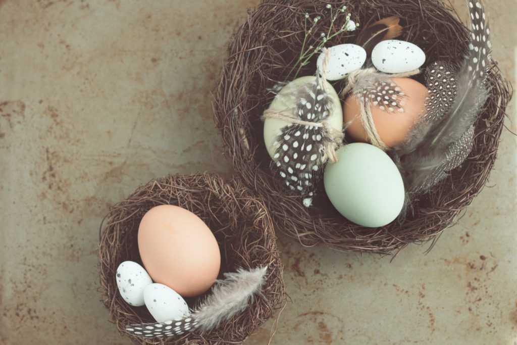 eggs in a basket, insurance solution, Geelong, Hobart, Allsure