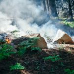 bushfire risk management, backburning