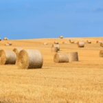 top tips to make hay while the sun shines